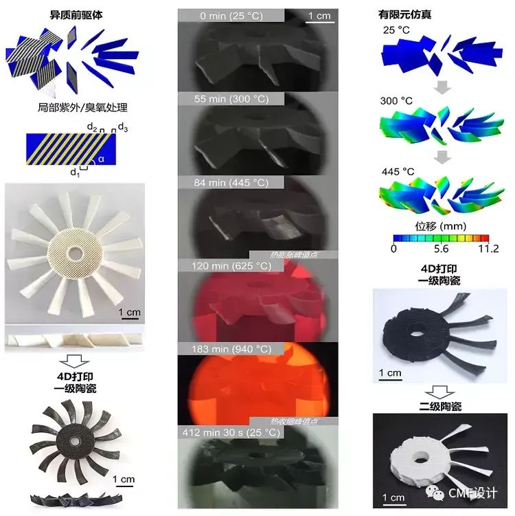 202310111111337076.jpg 202310111111337076.jpg