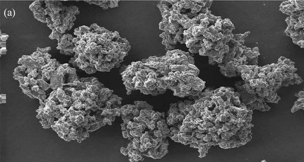 202310181339199837.jpg 202310181339199837.jpg