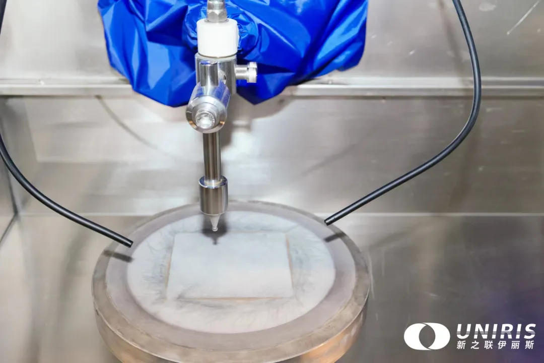 202407171518145819.jpg 202407171518145819.jpg