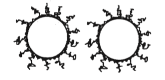 202508221423079789.png 202508221423079789.png