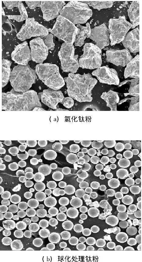 202601161629542020.jpg 202601161629542020.jpg